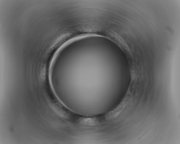 X0000113270163200910011436