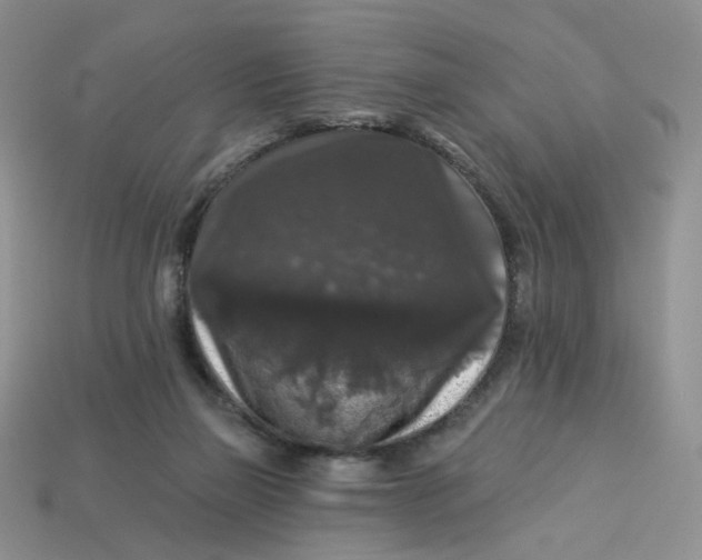 X0000113270165200910011436