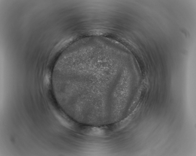 X0000113270166200910011436