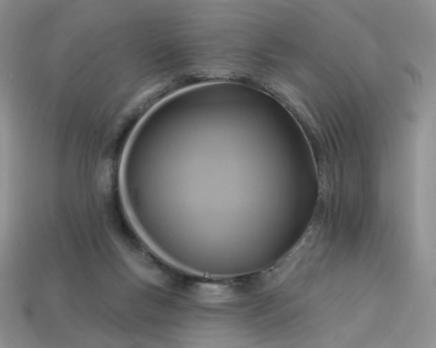 X0000113270167200910011436