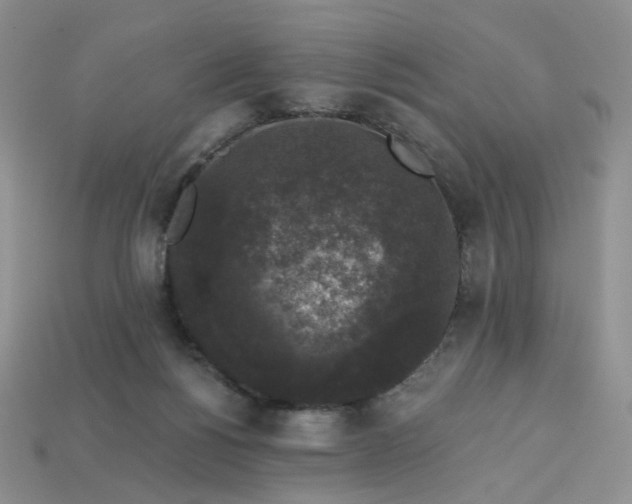 X0000113270168200910011436