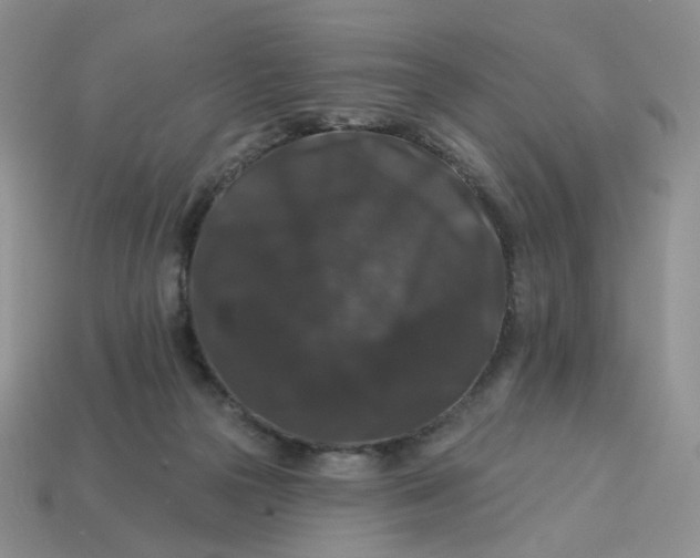 X0000113270169200910011436