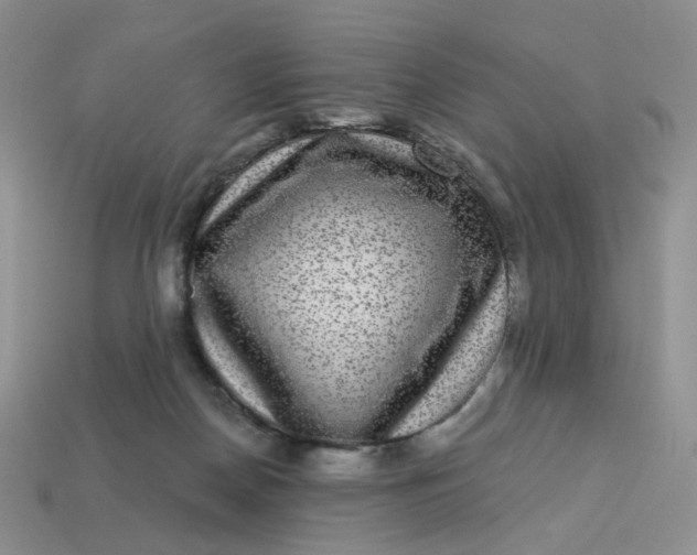 X0000113270170200910011436