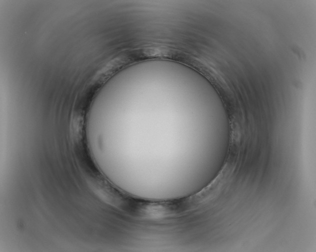 X0000113270171200910011436