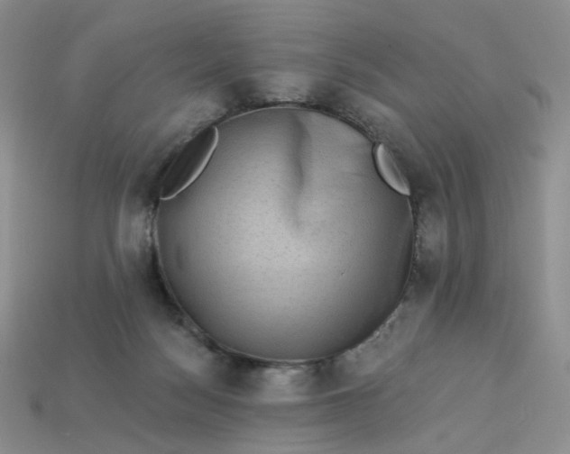 X0000113270172200910011436