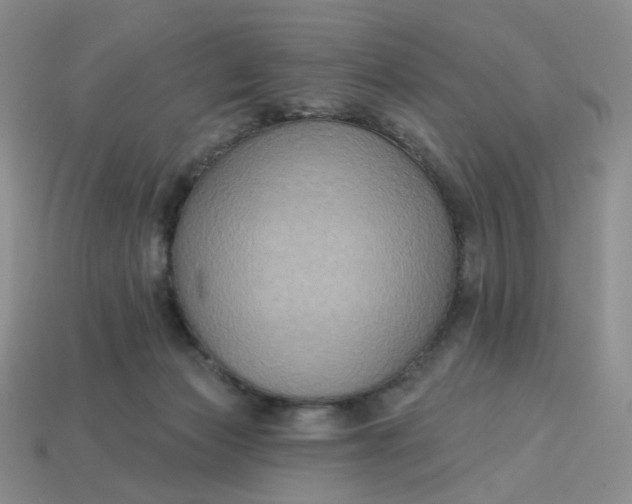 X0000113270173200910011436