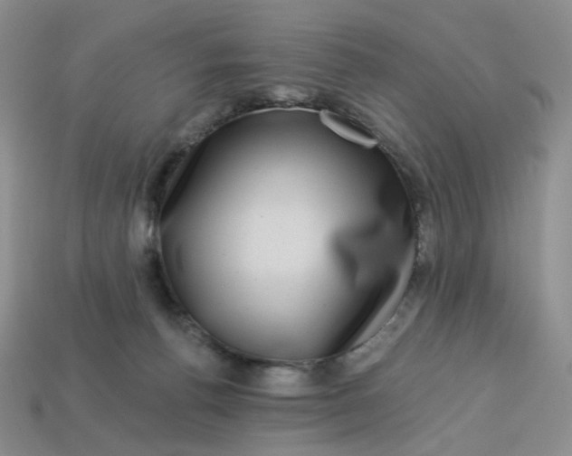 X0000113270176200910011436