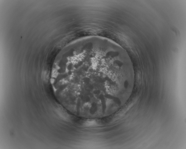 X0000113270177200910011436