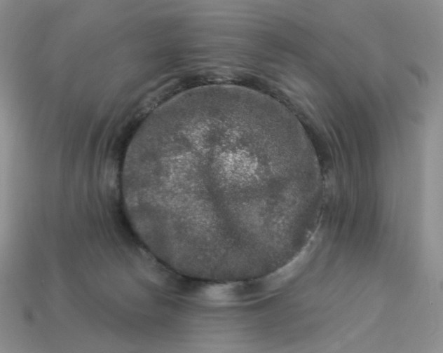 X0000113270178200910011436