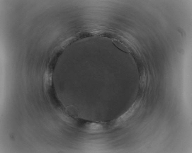 X0000113270180200910011436