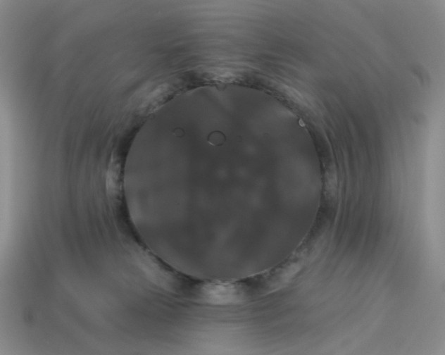 X0000113270181200910011436