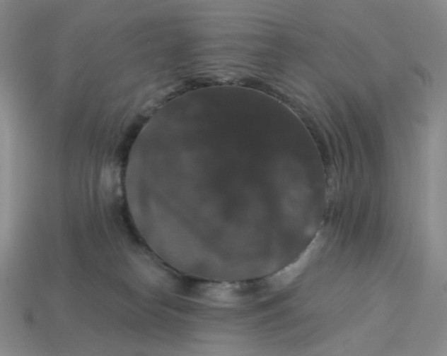 X0000113270182200910011436