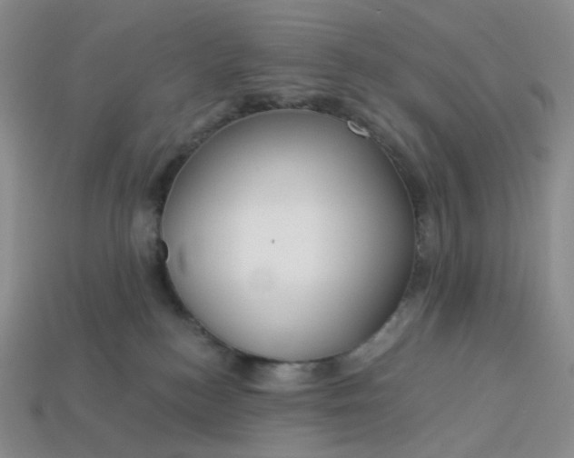 X0000113270184200910011436