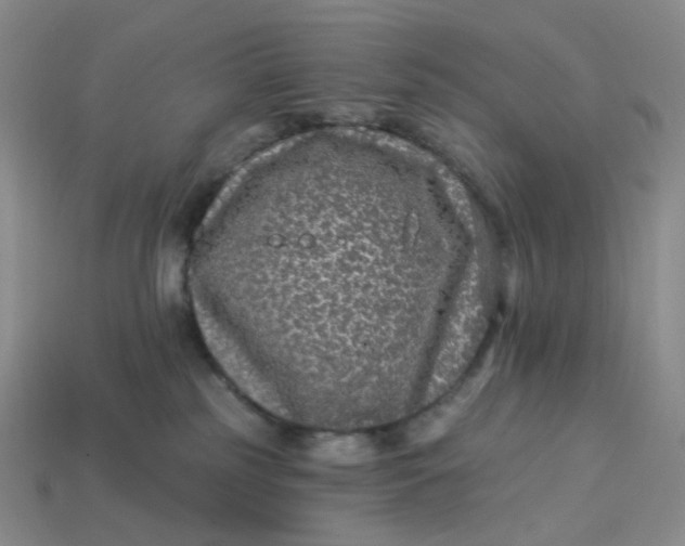 X0000113270185200910011436