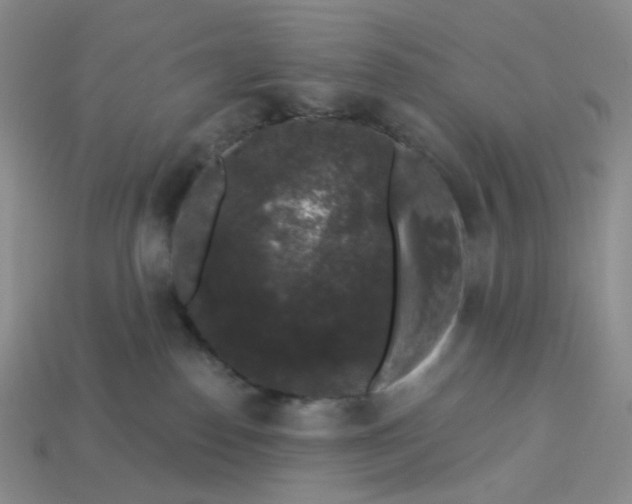 X0000113270186200910011436