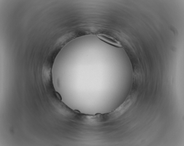 X0000113270188200910011436