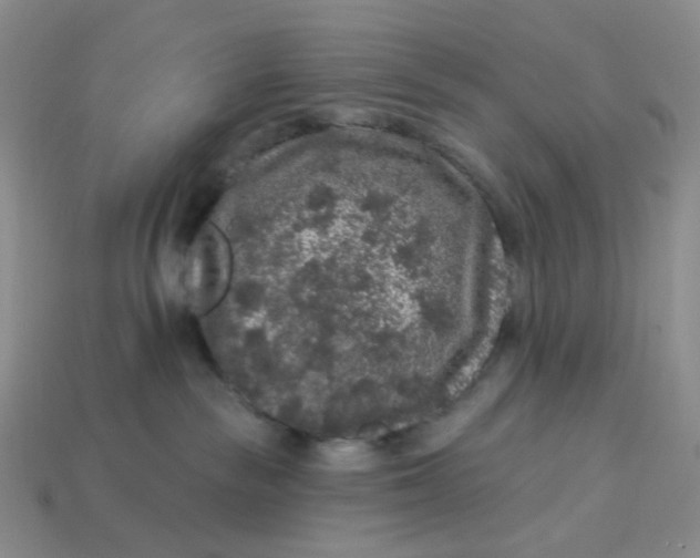 X0000113270189200910011436