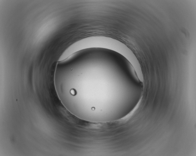 X0000113270190200910011436