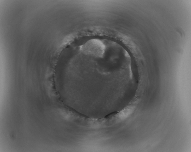 X0000113270192200910011436