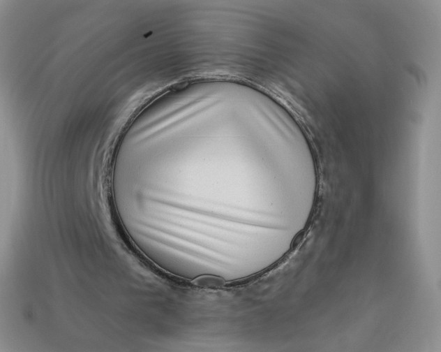 X0000113270193200910011435