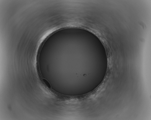 X0000113270196200910011435