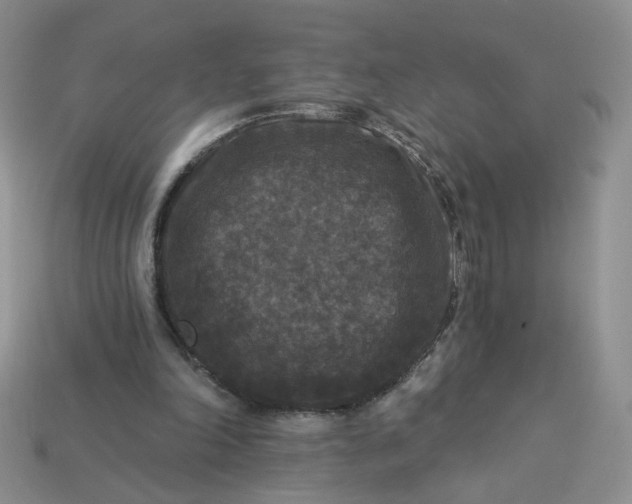 X0000113270198200910011435