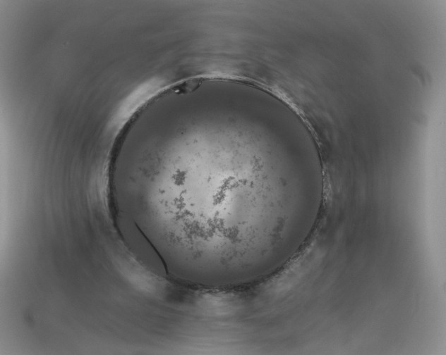 X0000113270199200910011435