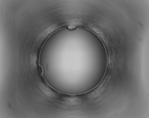 X0000113270201200910011435