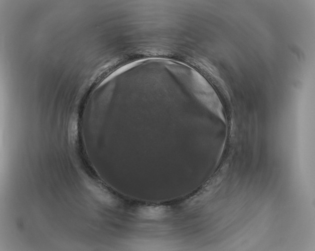 X0000113270202200910011435