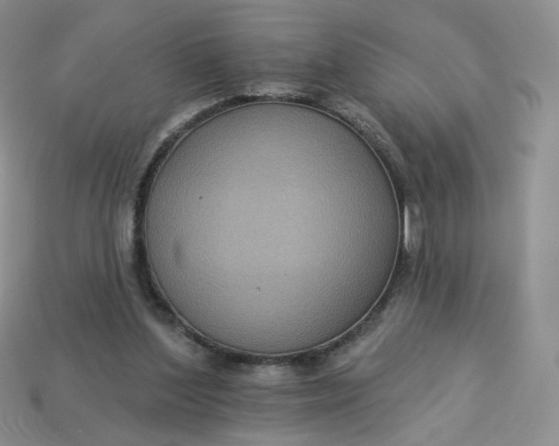 X0000113270204200910011435