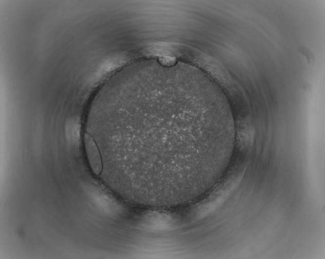 X0000113270207200910011435