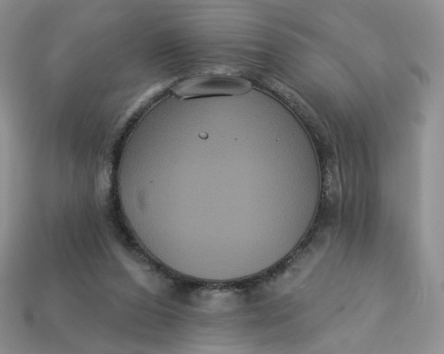 X0000113270208200910011435