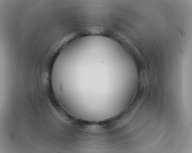 X0000113270212200910011435