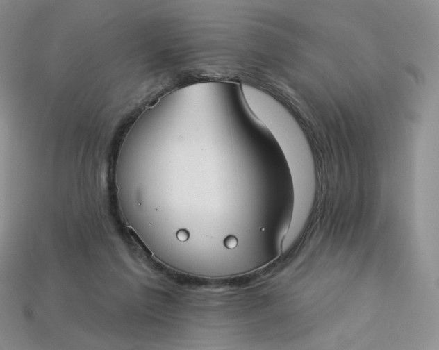 X0000113270213200910011435