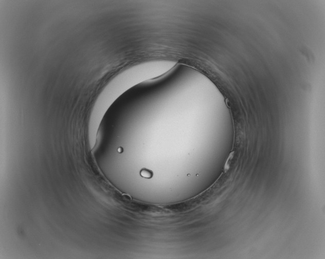 X0000113270215200910011435