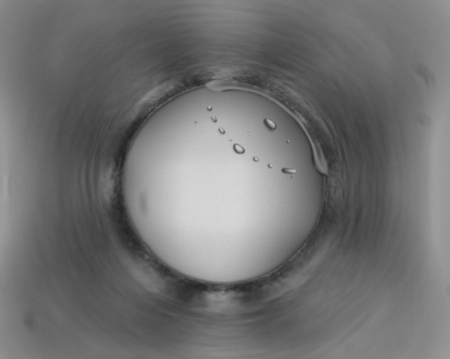 X0000113270216200910011435