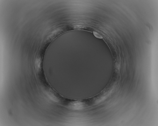 X0000113270219200910011435