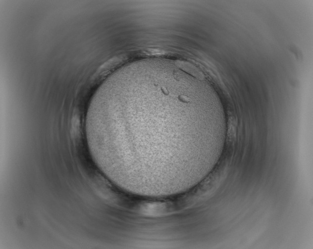 X0000113270220200910011435