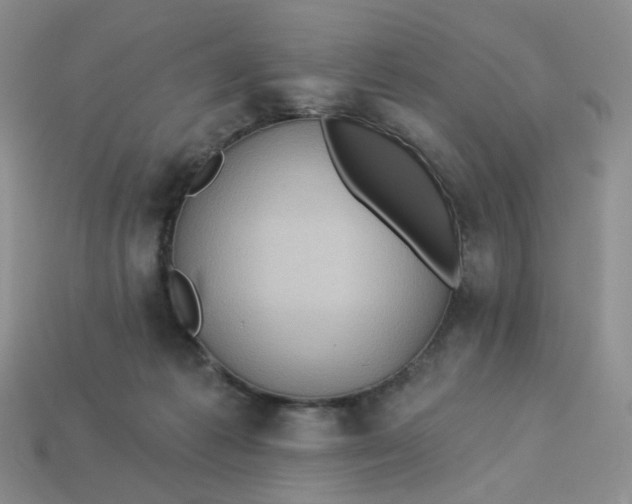 X0000113270221200910011435