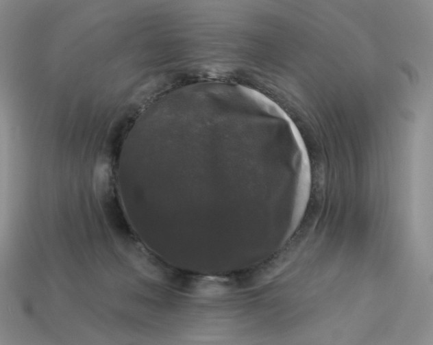 X0000113270222200910011435