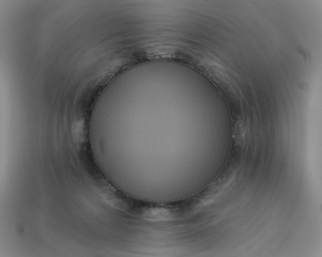 X0000113270224200910011435