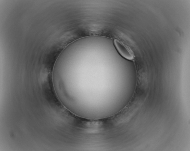 X0000113270225200910011435