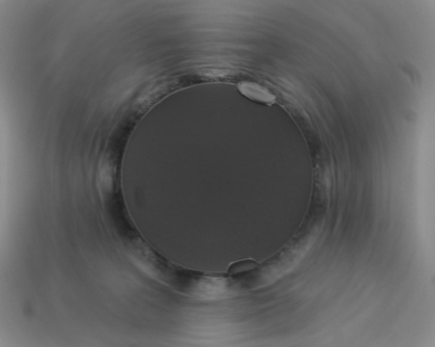 X0000113270227200910011435