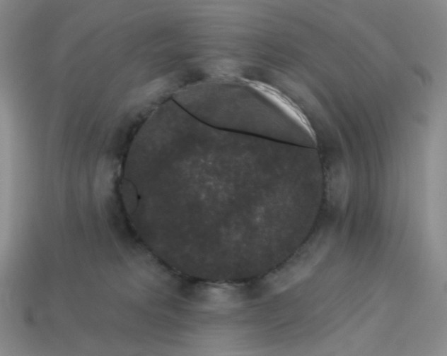 X0000113270229200910011435