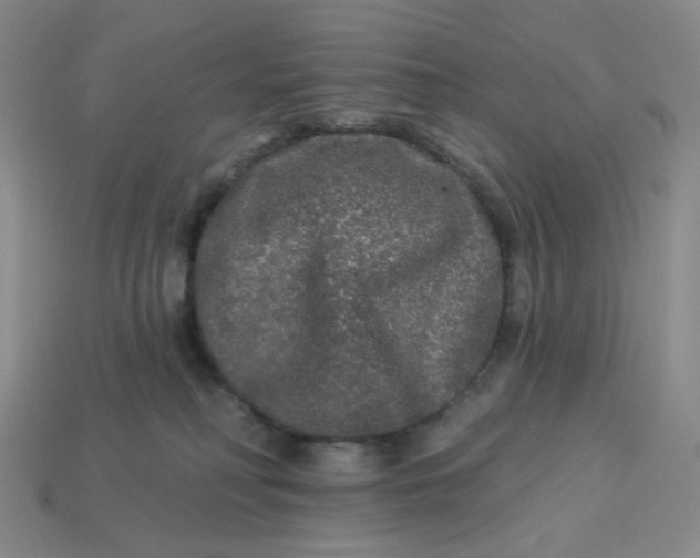 X0000113270230200910011435