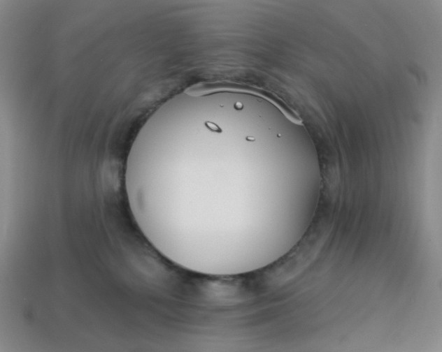 X0000113270232200910011435