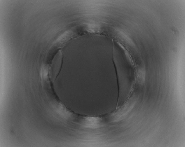 X0000113270233200910011435