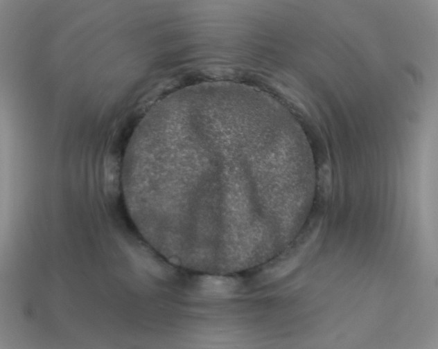 X0000113270234200910011435