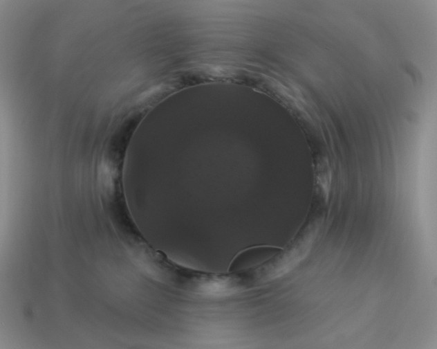 X0000113270235200910011435