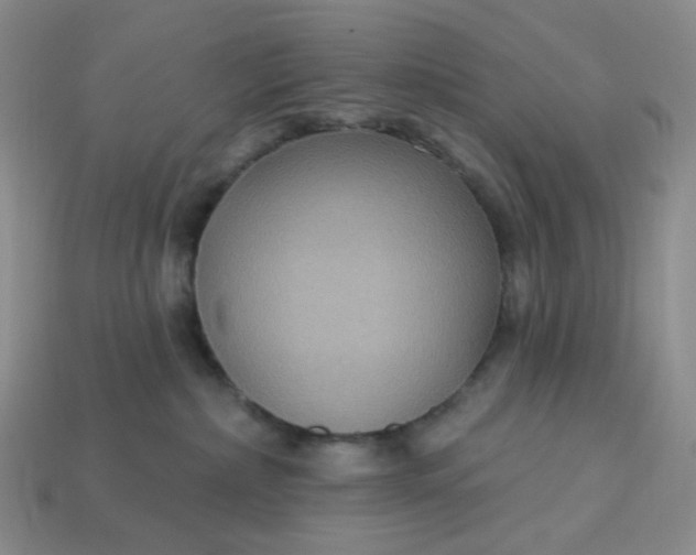 X0000113270236200910011435